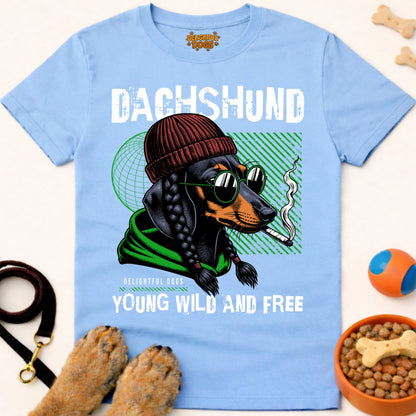 DACHSHUND YOUNG WILD AND FREE