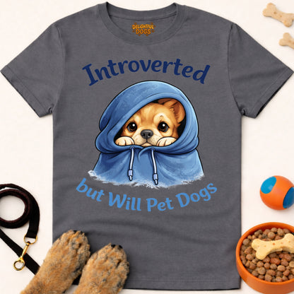 INTROVERTED BUT WILL PET DOGS (Chihuahua)